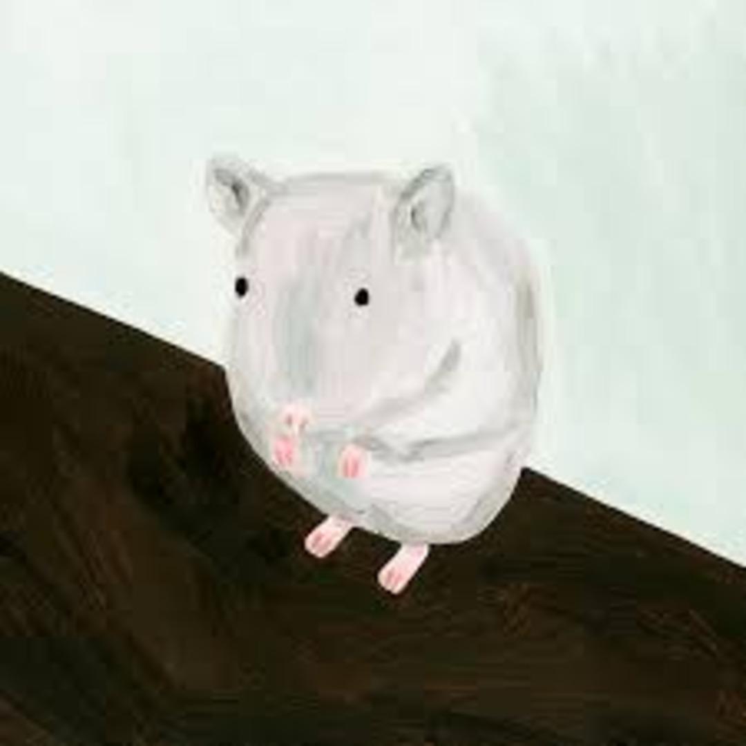 Polaris / Music (CD)