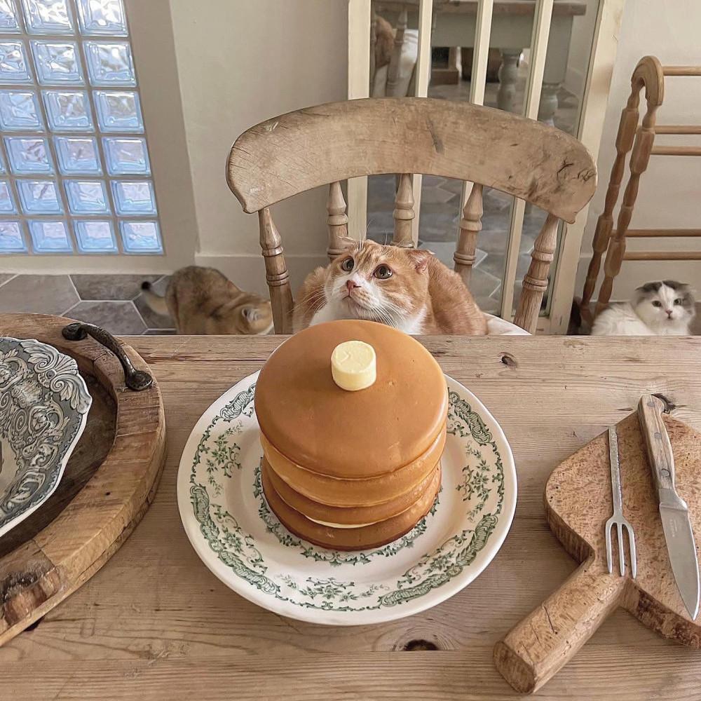 (14type) 무드 플레이트 / 빈티지 접시