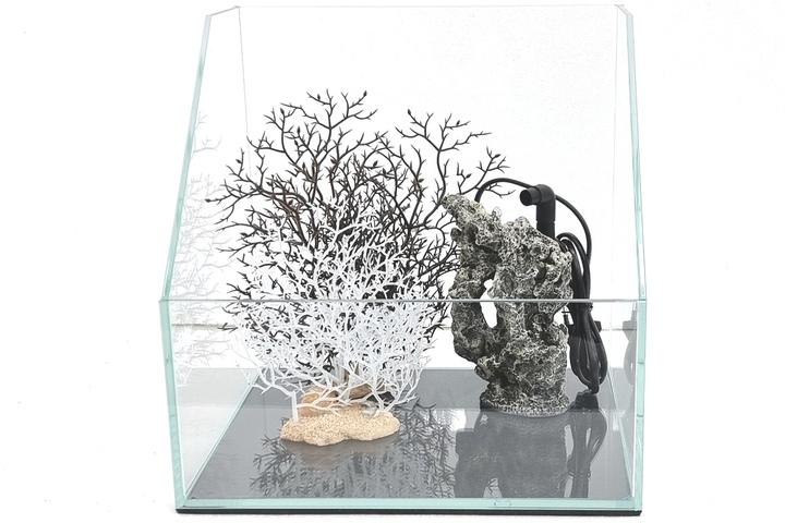 사선형 유리수조와 인조산호초 소금바위 미니분수대 비바리움 수반 어향 미니정원 인테리어