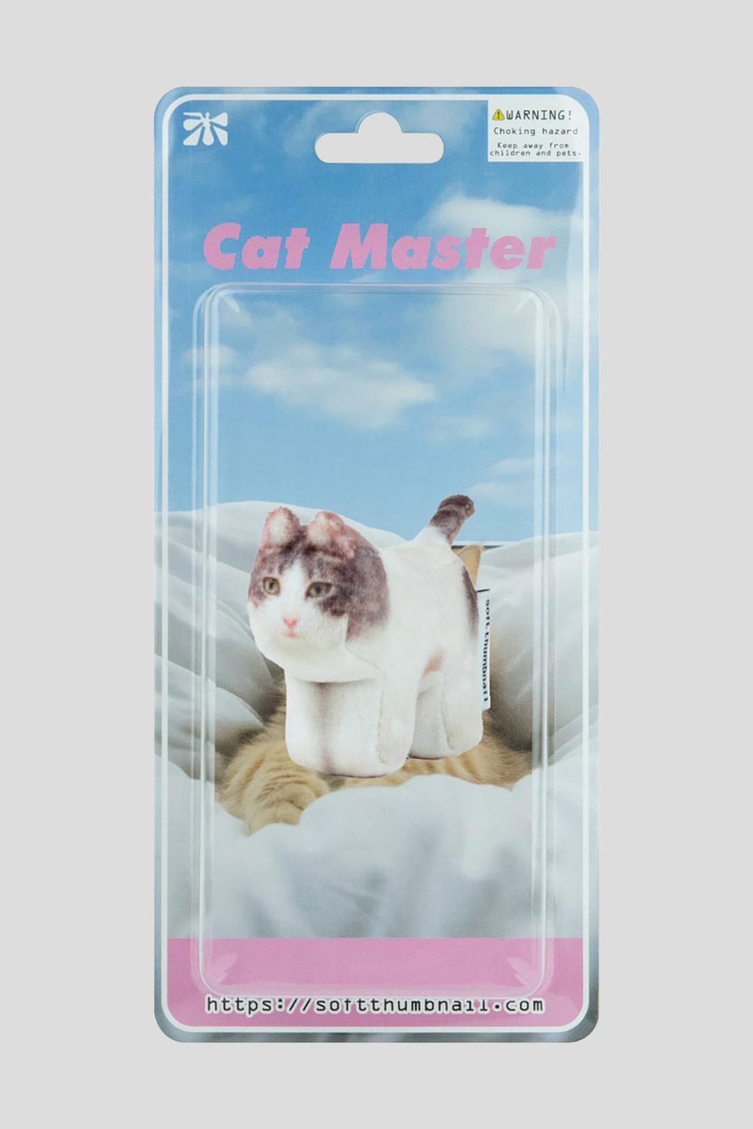 Milk, Domestic Shorthair