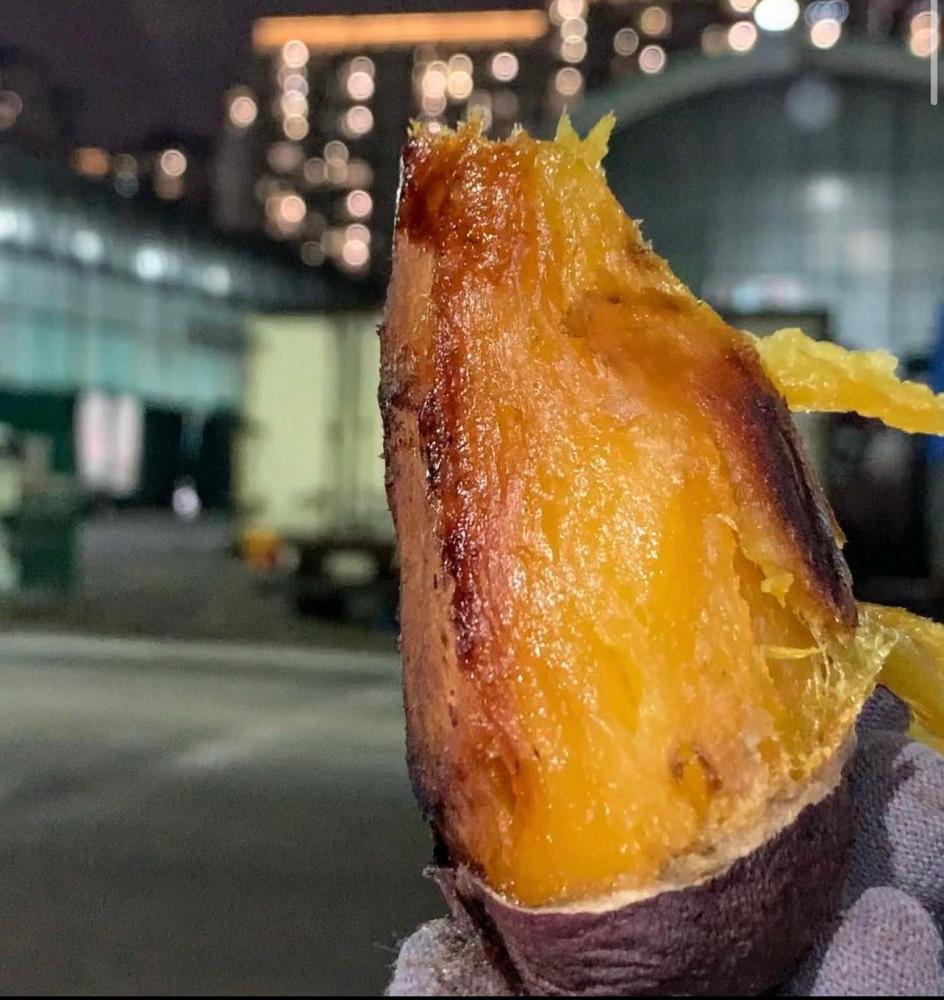 더달구마 황금 꿀고구마 베니지민 베니하루카 로얄과 호박 퍽퍽한 밤 황금 해남 영암 당구마