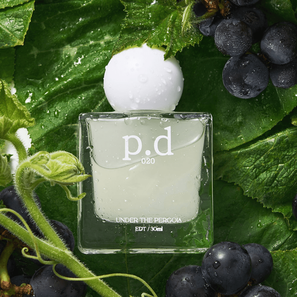 [언더더파고라]  피디 워터베이스 향수 PD EDT