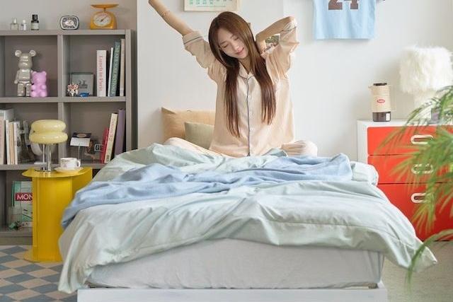 데이오프 철제 침대 프레임 SS/Q (화이트/블랙)
