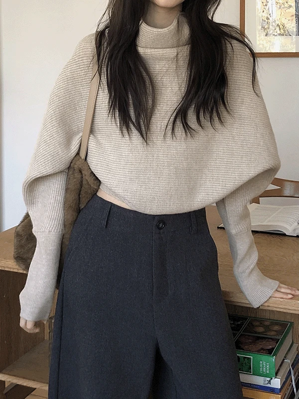 밴디드 터틀넥 니트