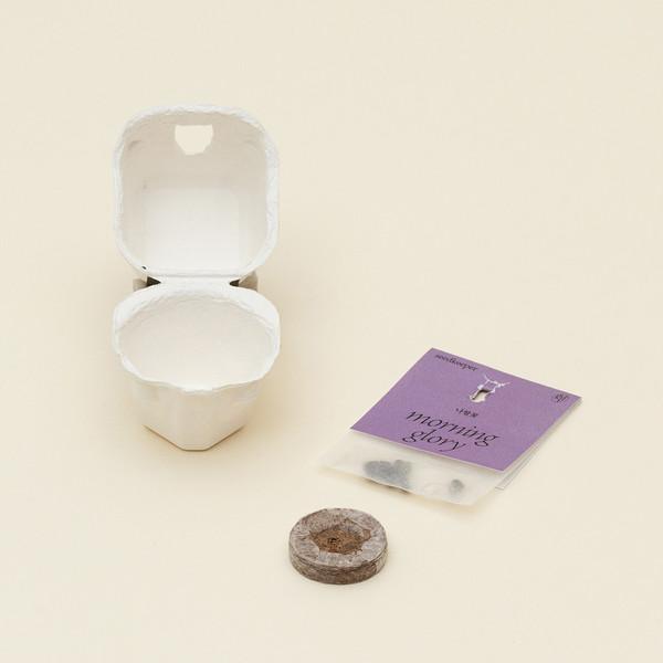 씨앗 팔레트 Seed Palette