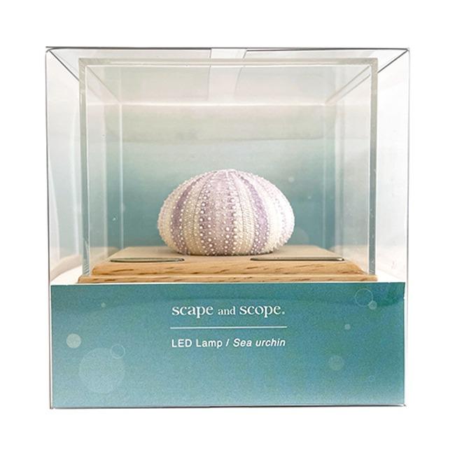 성게램프 / 흰보라성게