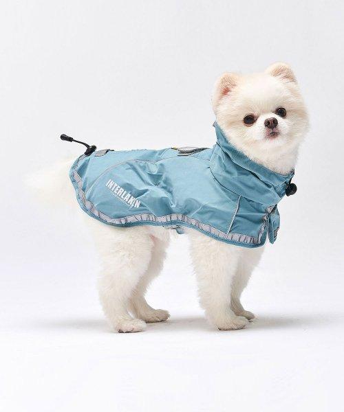 인터라켄 강아지 우비