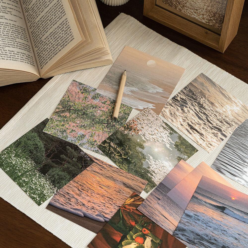 아트 갤러리 카드 13종 세트