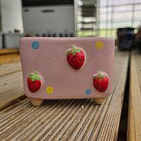 핑크딸기화분 : 수입화분 - 엑스플랜트