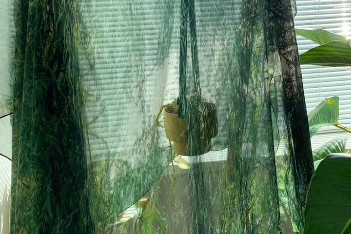기억의 풍경, 감성 쉬폰 패브릭 포스터 커튼_Deep green