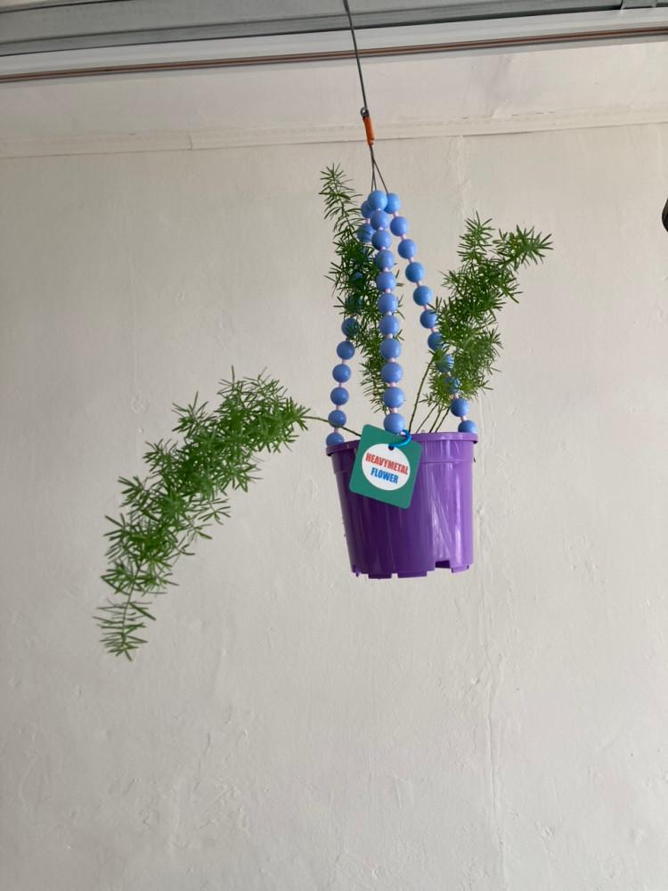 비즈행잉 아스파라거스 마제파