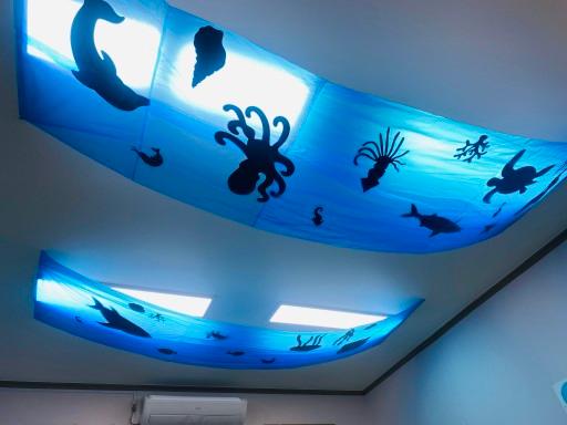 바다 동물 그림자 전등 꾸미기