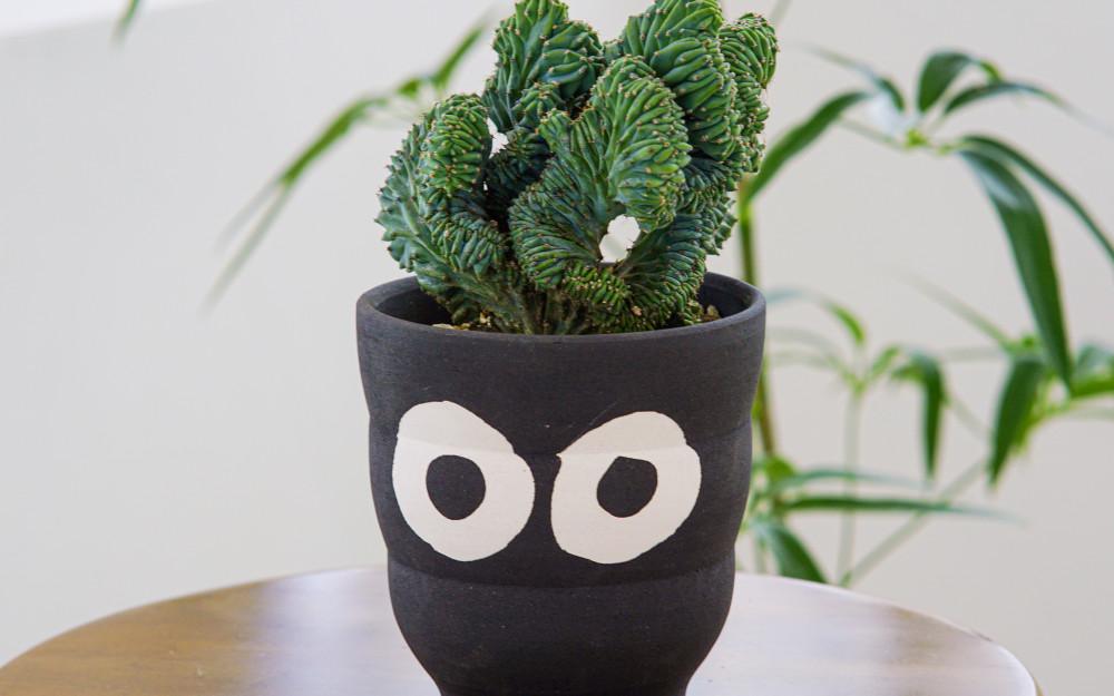 [팟팟팟] 🐛 캐터피팟 🐛 눈깔에디션 - Caterpie Pot_Eyeball Edition