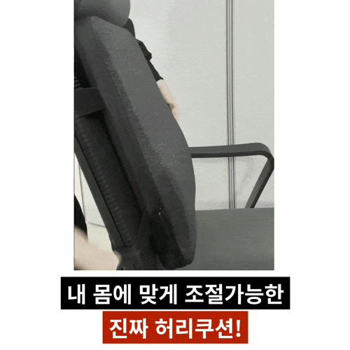 척추앤 커스텀전만쿠션 커스터마이징 요추전만 허리 쿠션