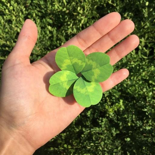 1+1🍀네잎클로버 카드 편지지🍀