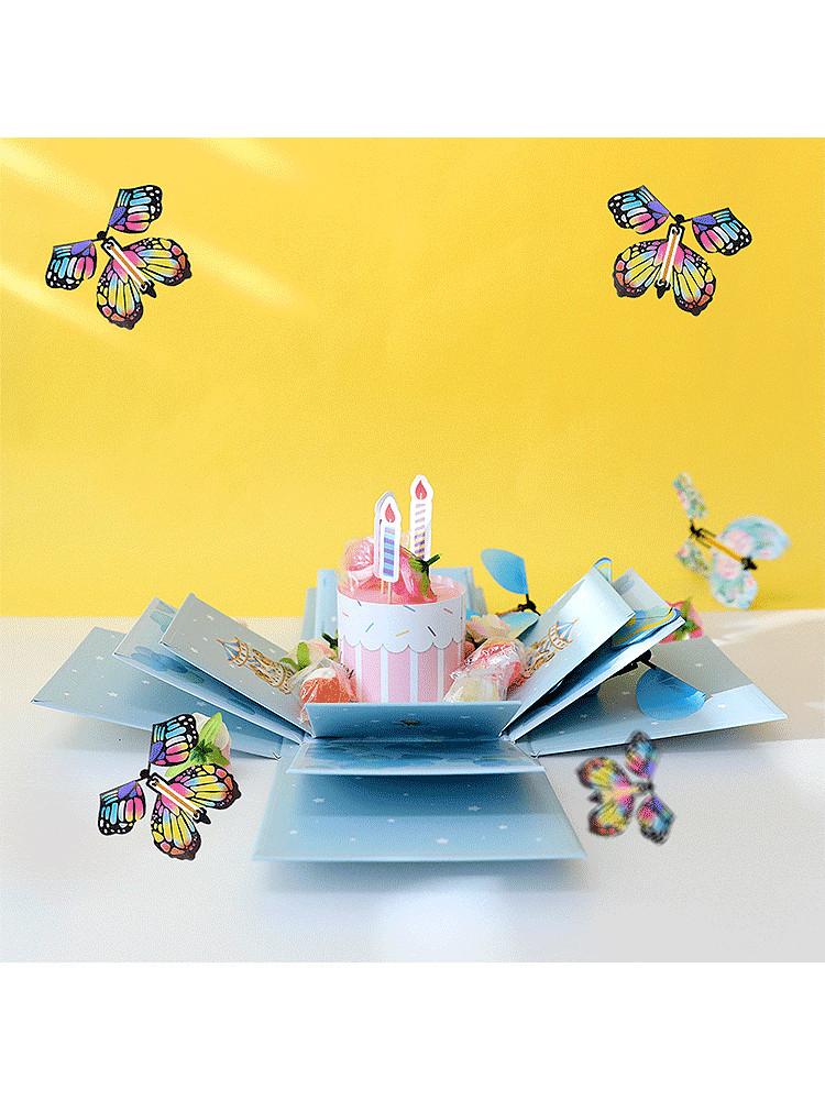 서프라이즈 플라잉 나비박스