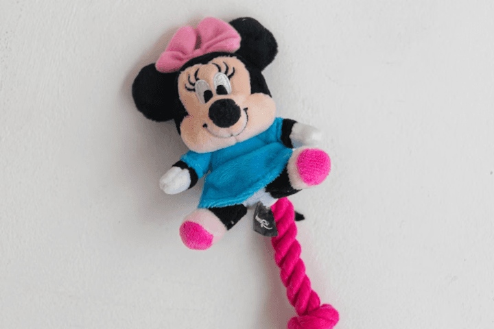 댄 강아지 터그놀이 디즈니 로프장난감 미니마우스