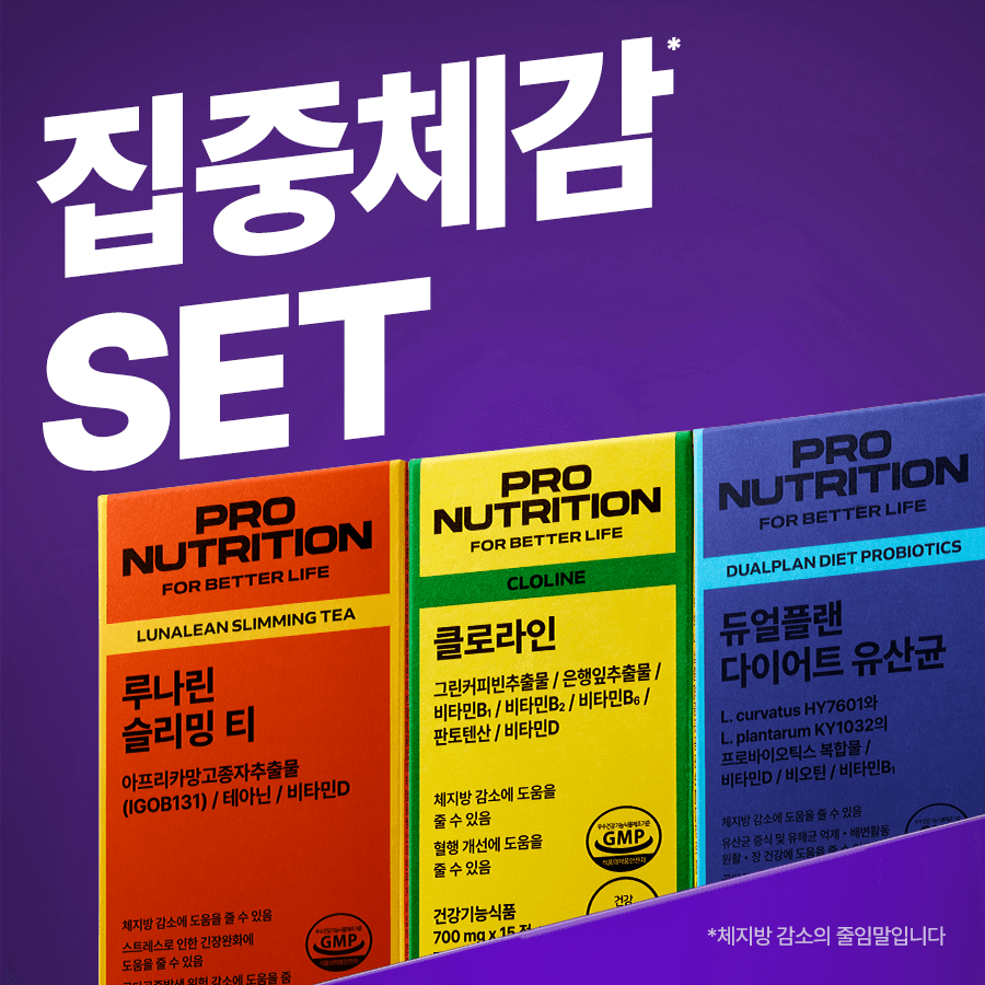 집중체감 SET