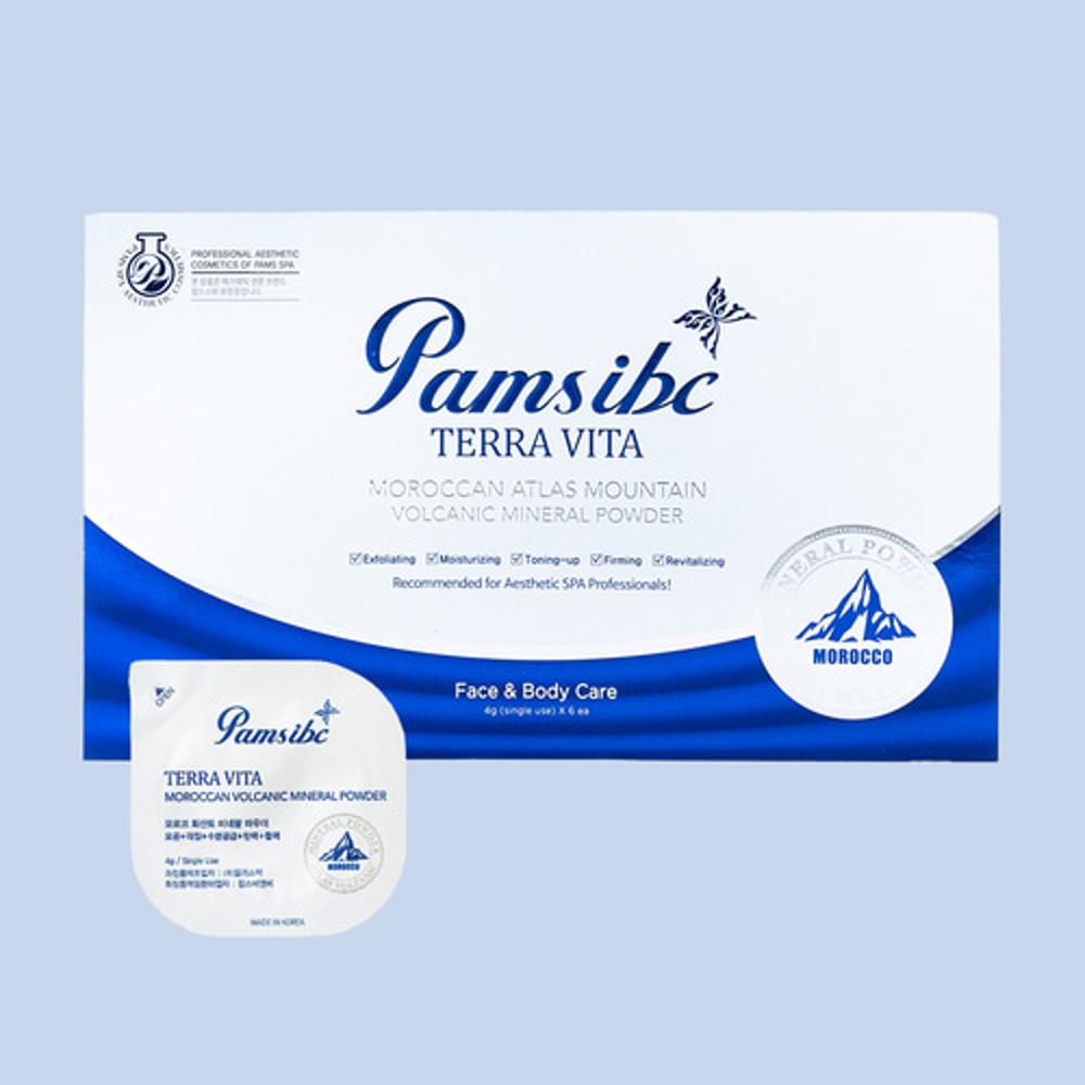 팜스 테라비타 화산토 모공 축소팩 1박스+1개추가+팩붓해면