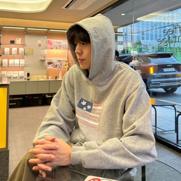 USA FLAG APPLIQUE HOODIE - GRAY