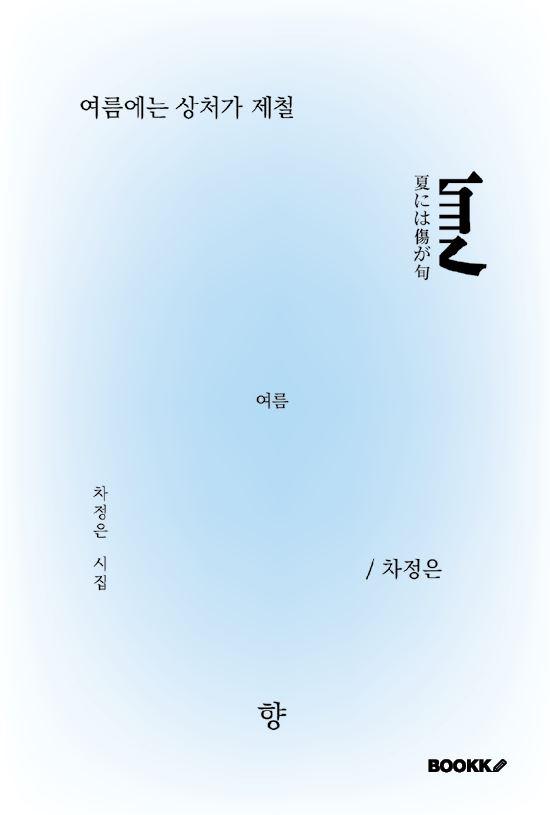 여름에는 상처가 제철 - 차정은
