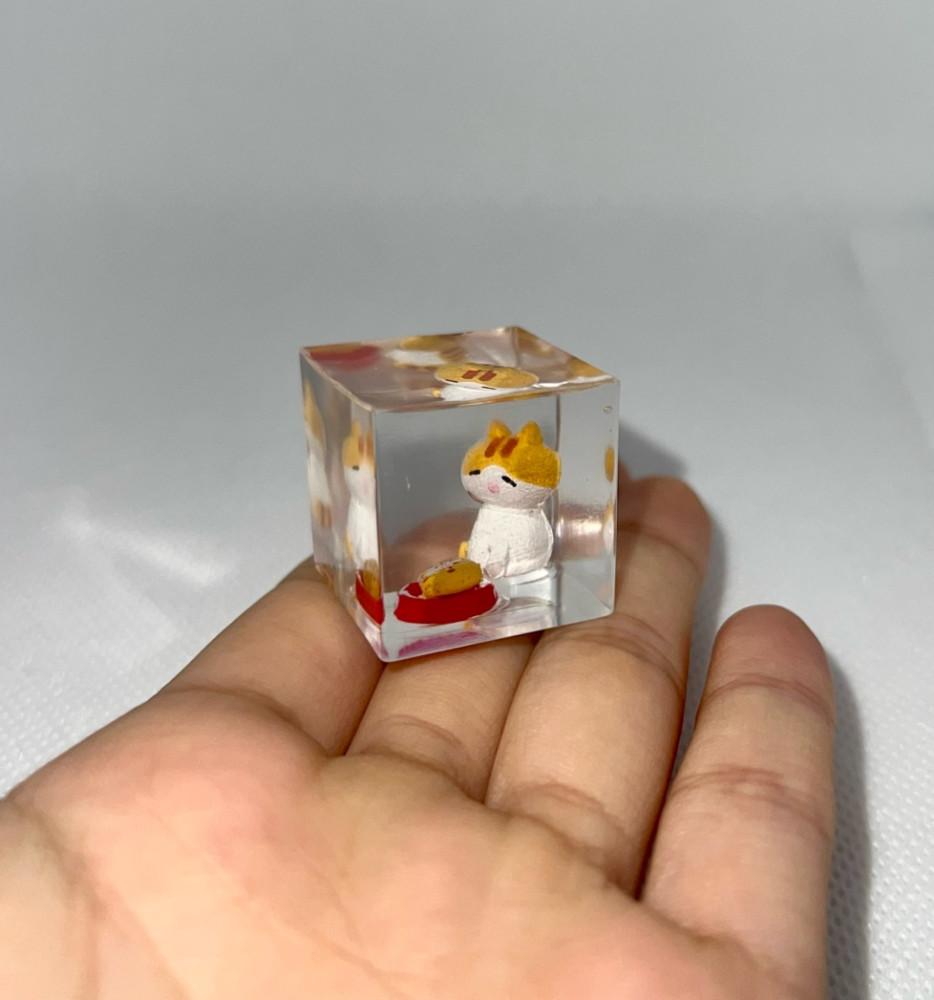 붕어빵 고양이 오브제