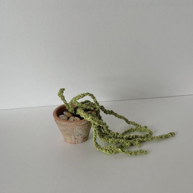 beside gren _ 립살리스