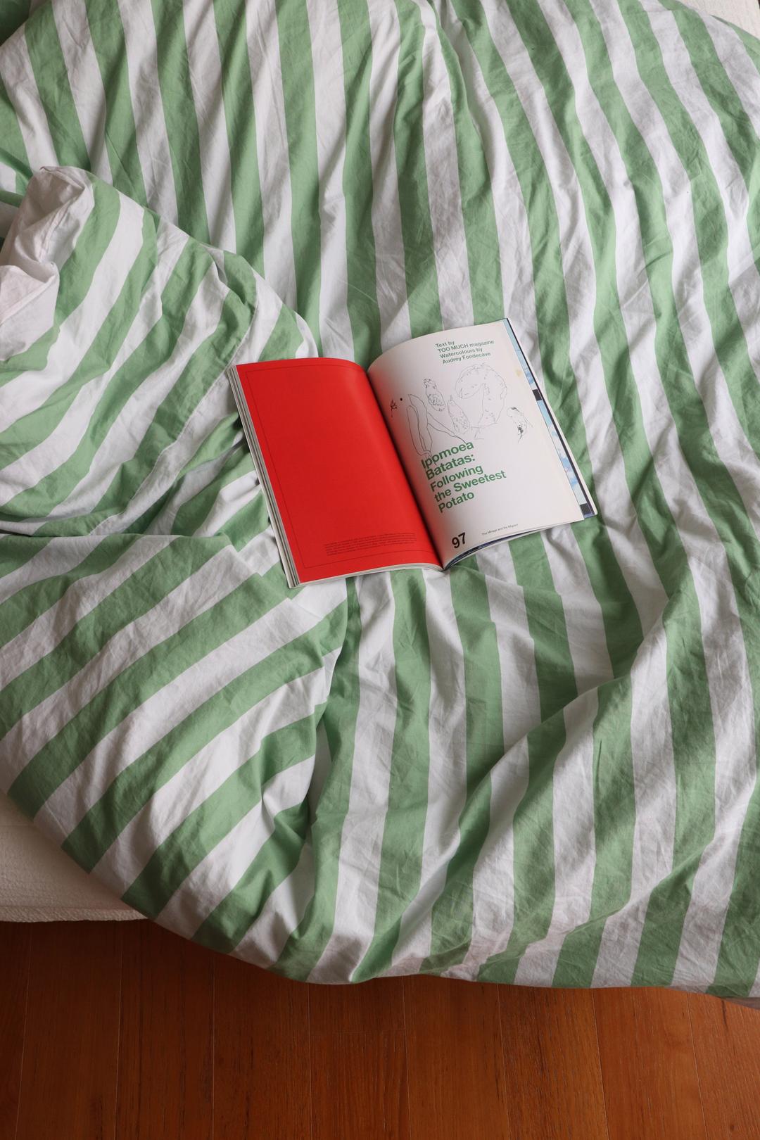 Candy stripe bedding _ Green