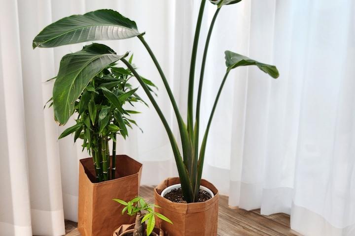 크라봉 크래프트 화분 커버 가리개 수납정리함