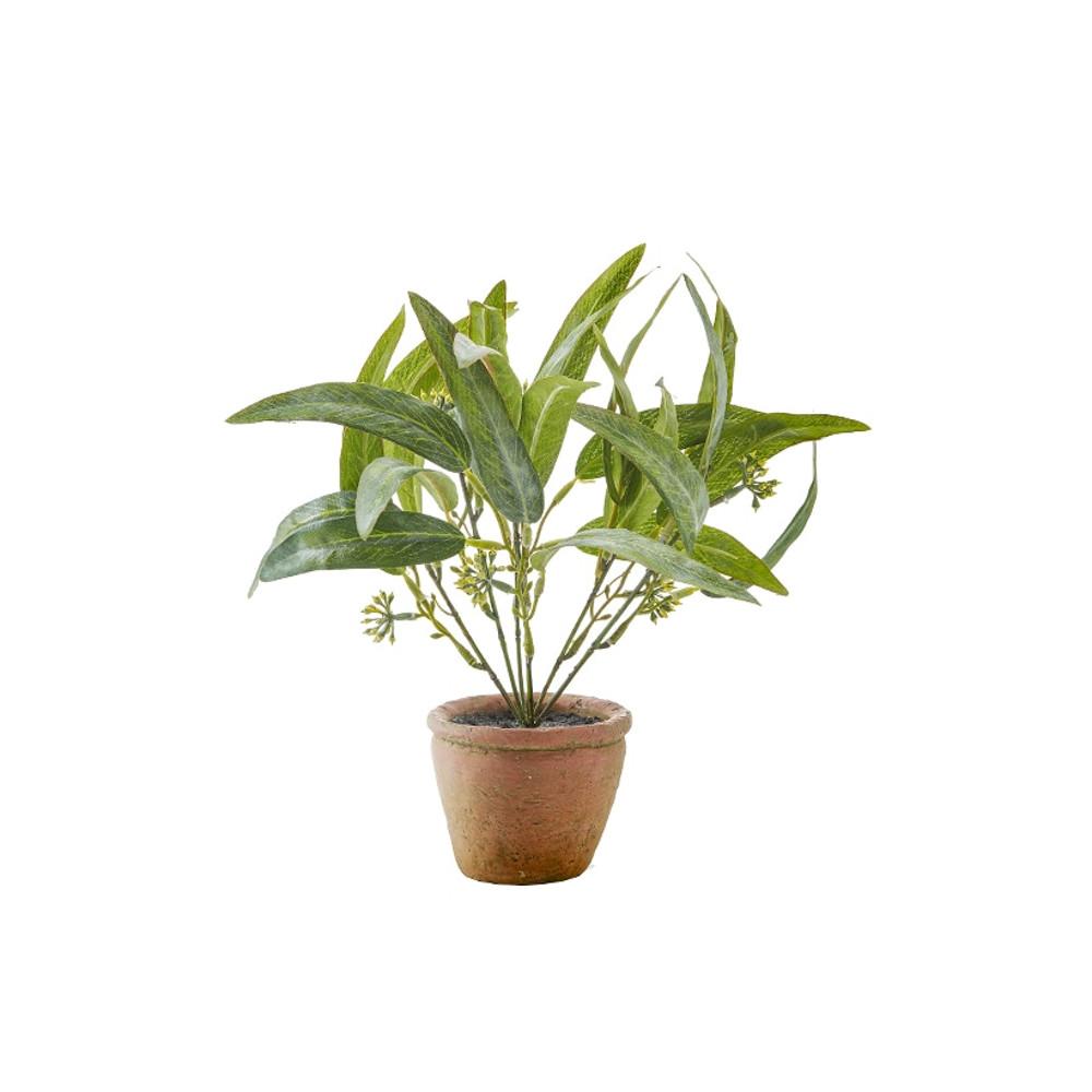 [까사미아] 그리니 유칼립투스팟_그린