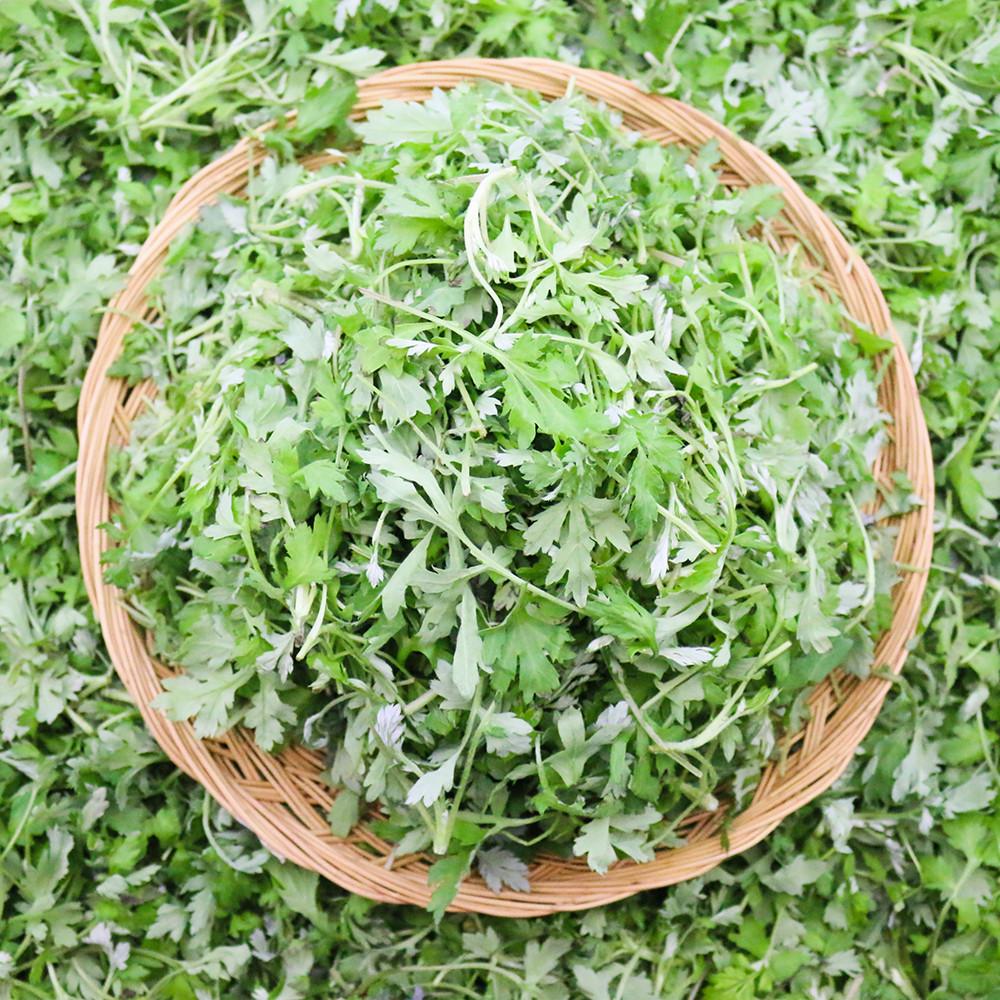 국내산 함평 쑥 1kg 노지 당일채취 나물 생쑥 향긋한 봄나물 쑥나물 500g