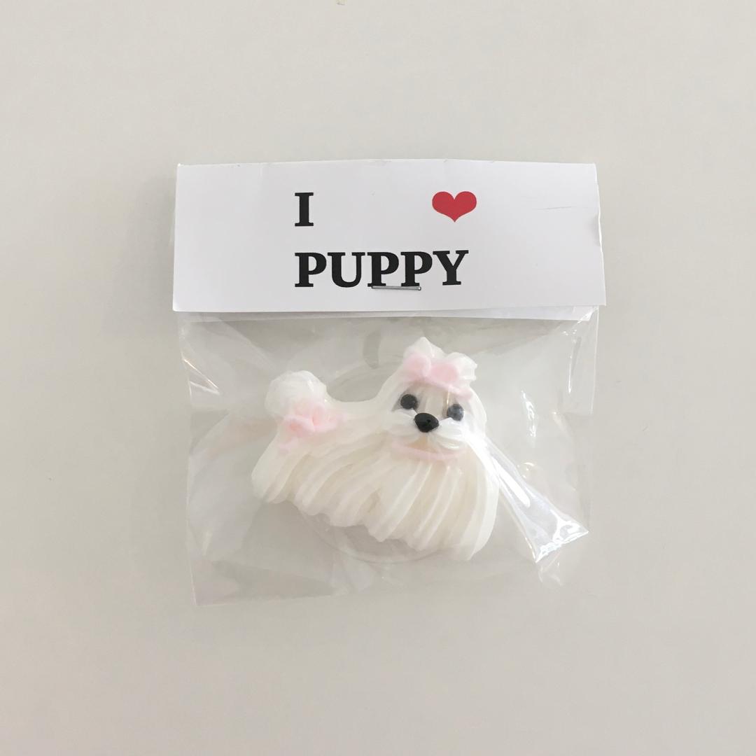 미니 말티즈 스마트톡