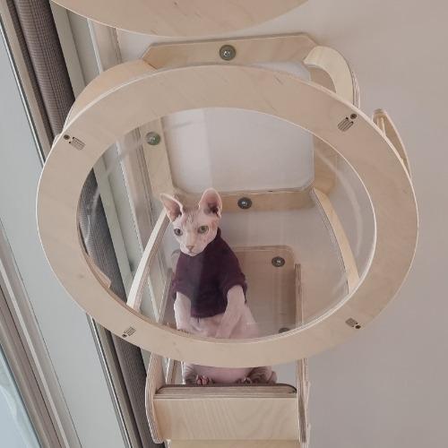 하늘 투명 원형 쉼터