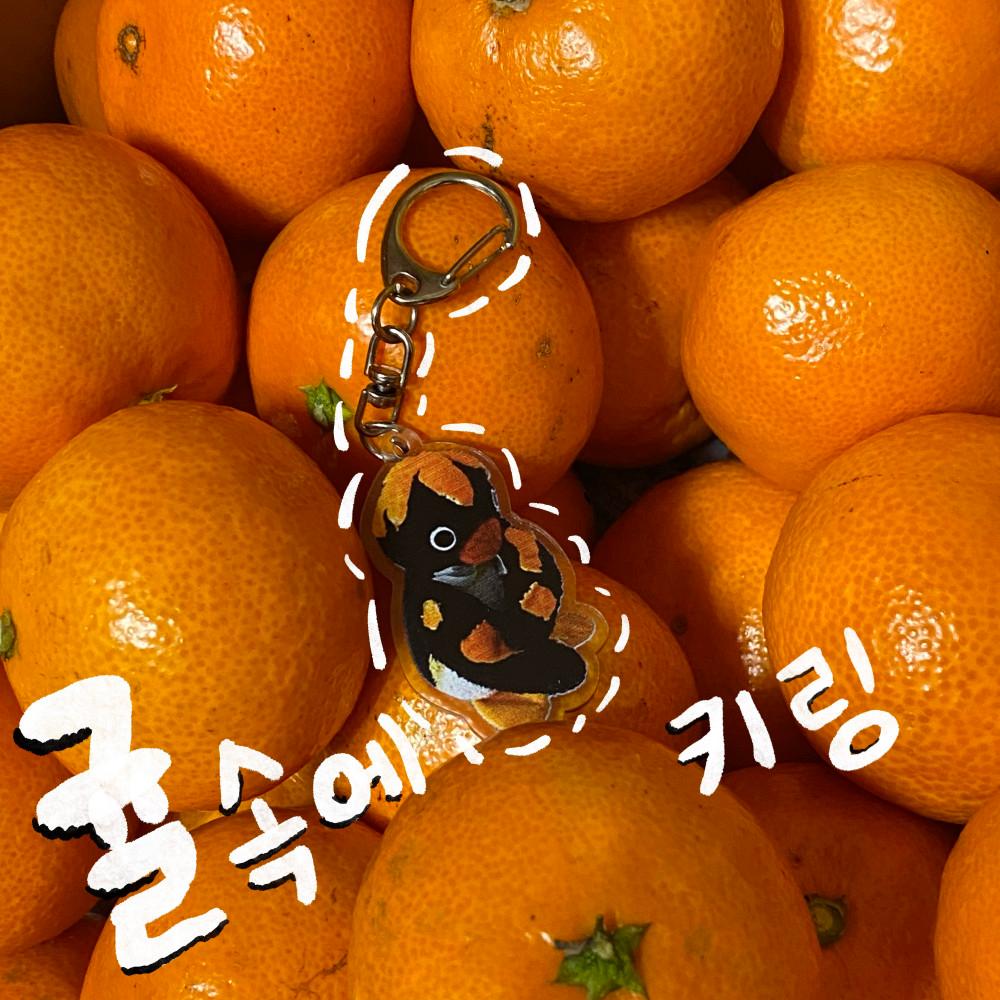 귤속에 핑구 키링