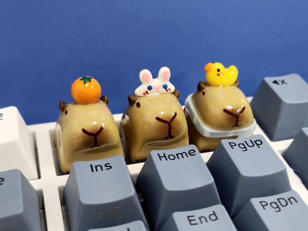 카피바라 키캡 아티산 포인트 키보드키캡 커스텀 한무무 레오폴드