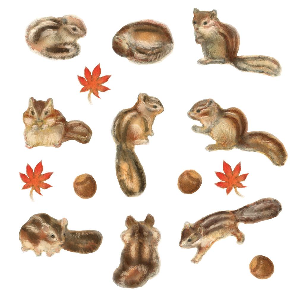 [은민] 다람쥐 스티커