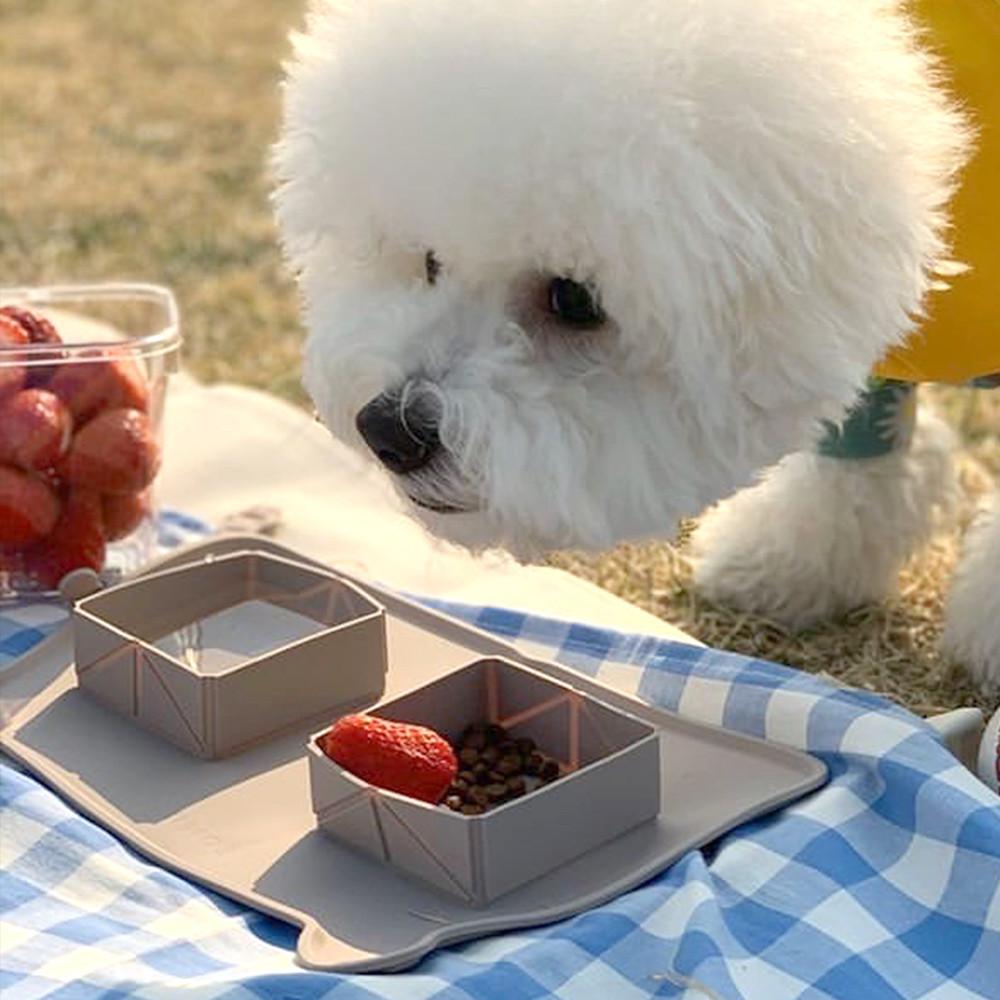 여행 캠핑 휴대용 강아지 고양이 밥그릇 식기