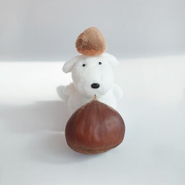 군밤장수 멍멍이