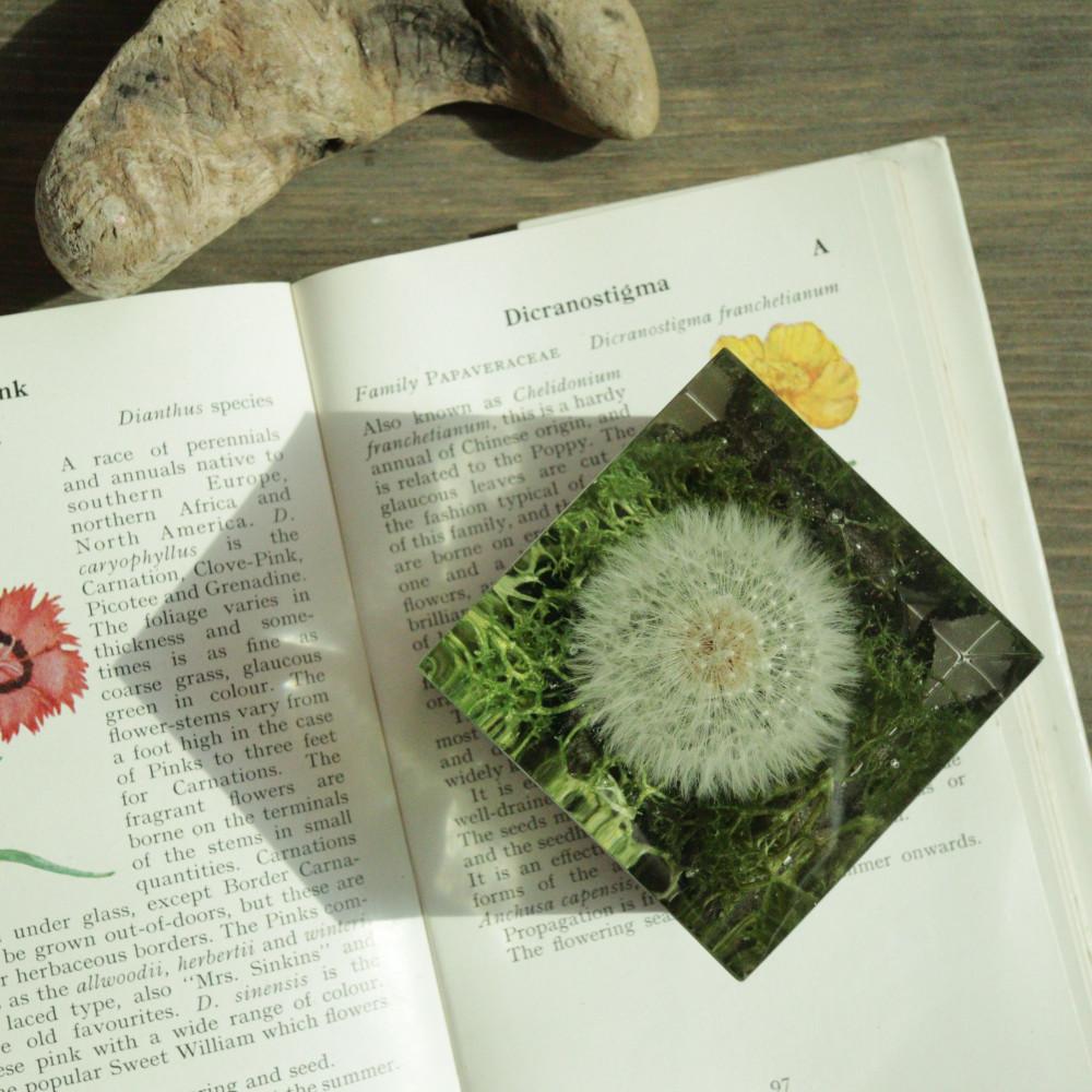 민들레 문진 페이퍼웨이트 인테리어 오브제 소품