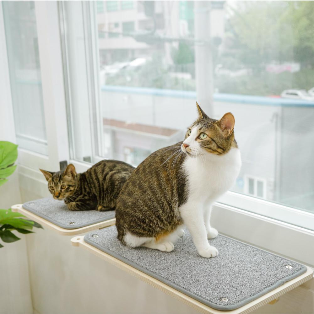 캣돌 고양이 냥틀 윈도우 창문 창틀선반 캣선반 캣타워 캣워커 창틀해먹 창문해먹