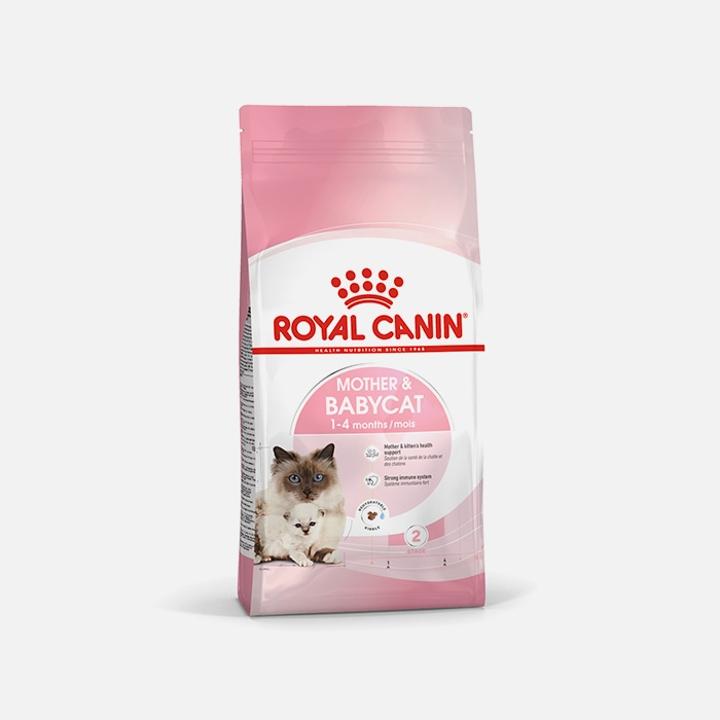 로얄캐닌 캣 마더&베이비 4kg 면역증진