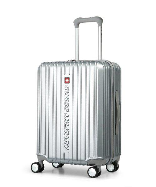 글로리 여행용캐리어 20인치 기내용 SM-AM20 메탈릭실버