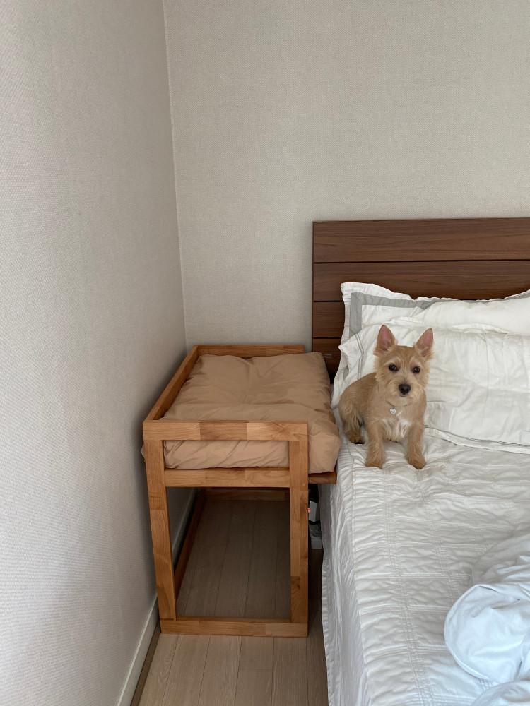 심플 스퀘어 HIGH 침대 / 만수브라운 강아지침대, 고양이침대 / 높이 주문 제작 침대
