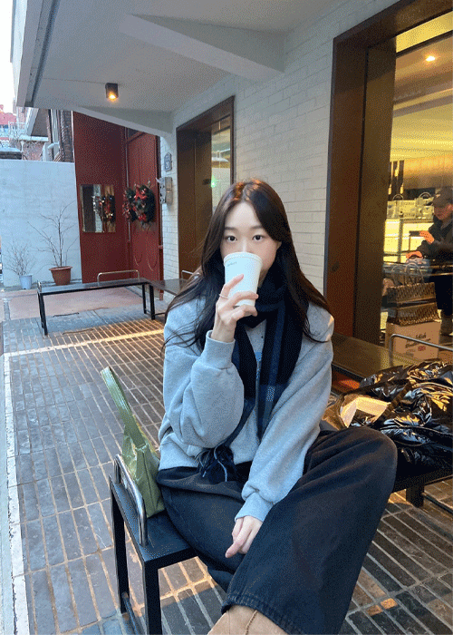 플리즈 후드 기모 반 집업 (3 color)