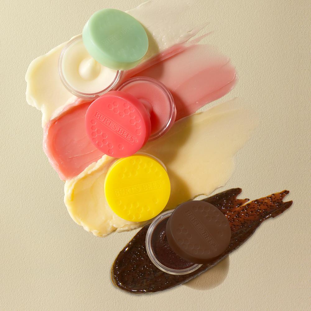 버츠비 립스크럽+립트리트먼트 택1