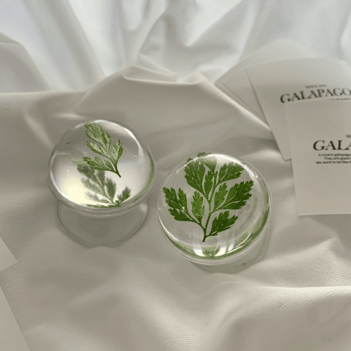 갈라파고스 진짜초록잎 그립스마트톡