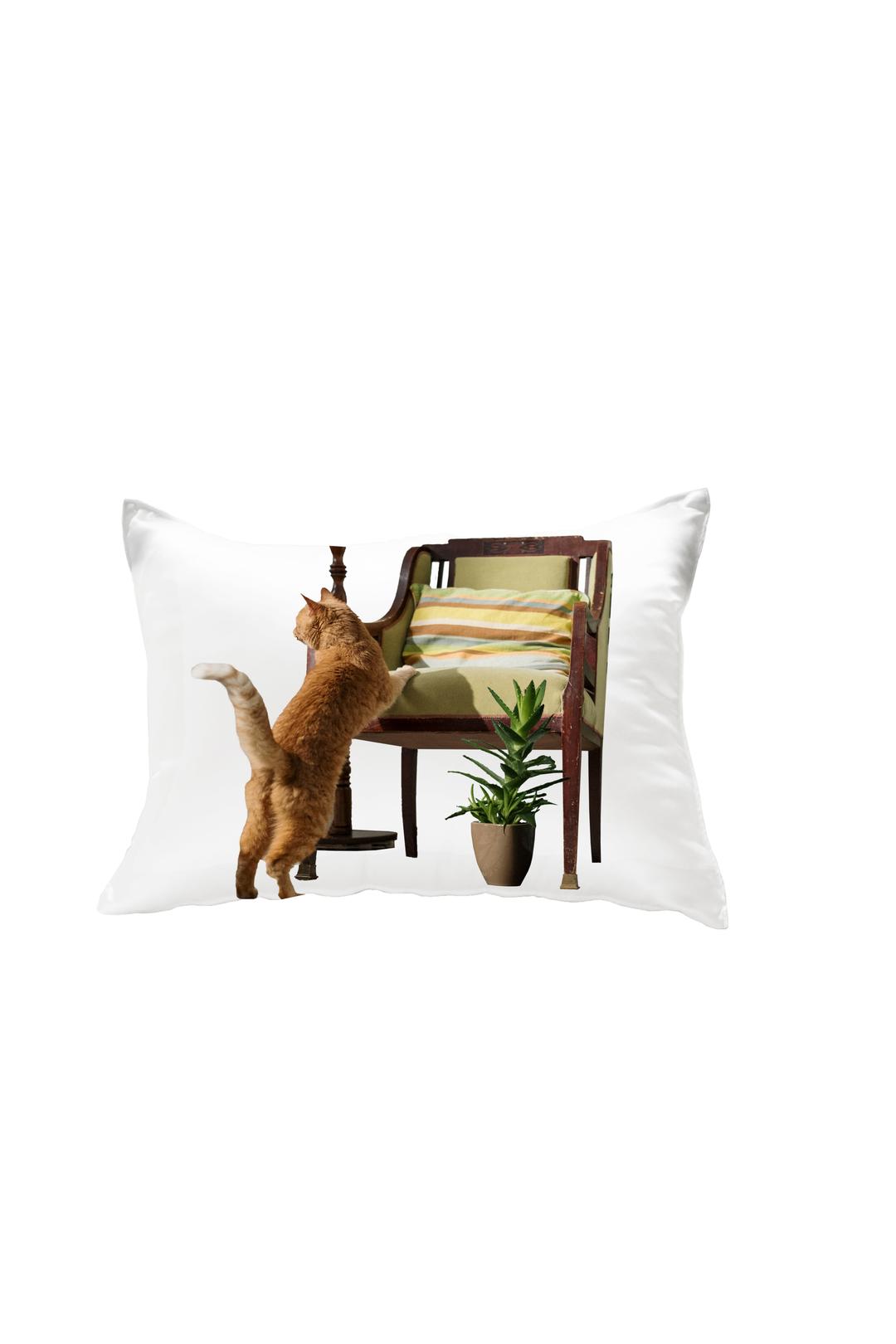 chair cat pillow cover