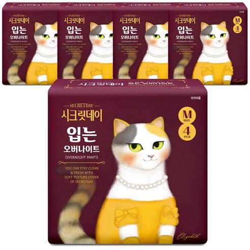 시크릿데이 입는 오버나이트 생리대, 중형, 4개입, 5개