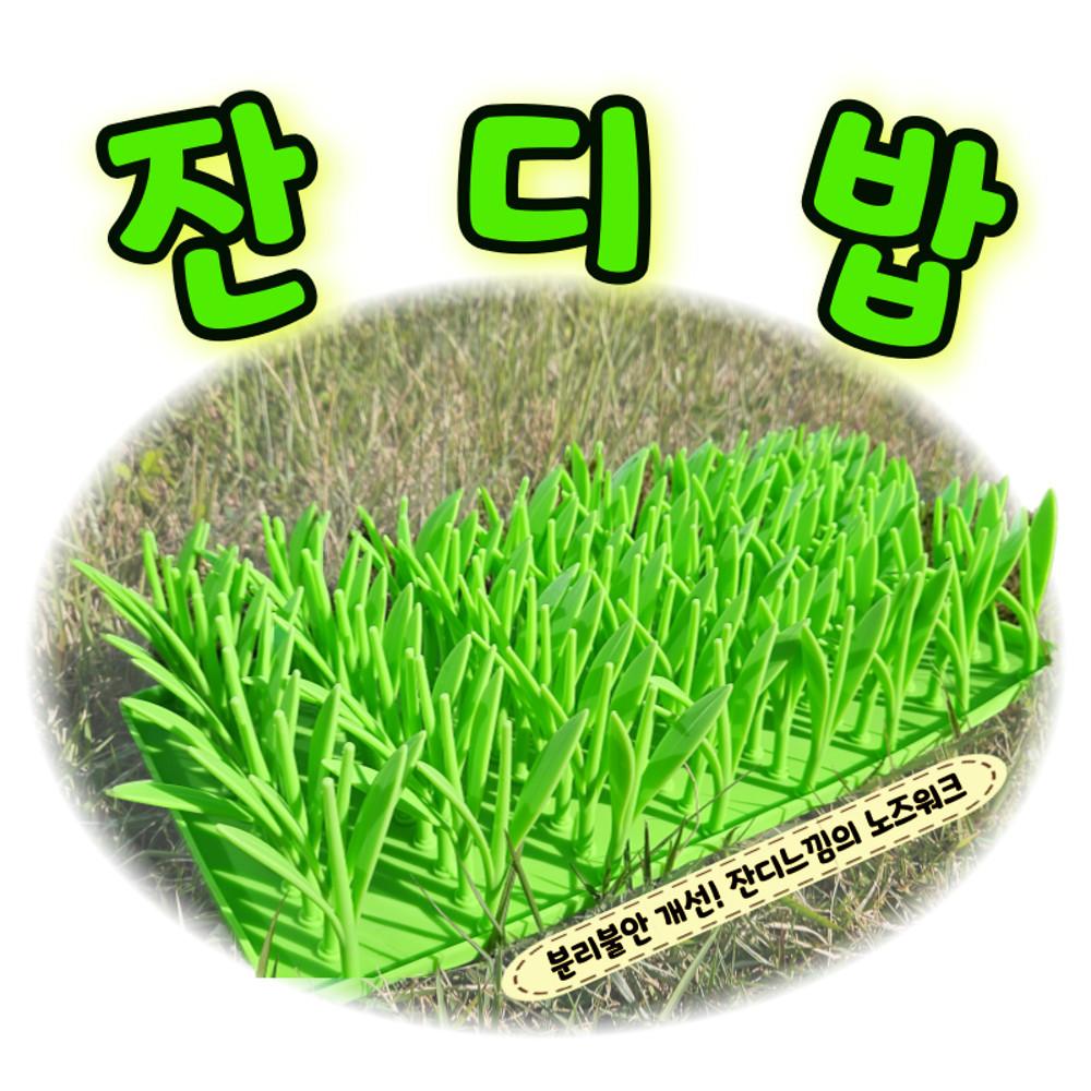 강아지, 고양이 관리가 쉬운 실리콘 노즈워크 자연을 닮은 잔디밥