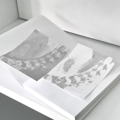 반틈 메모지 (2 color)